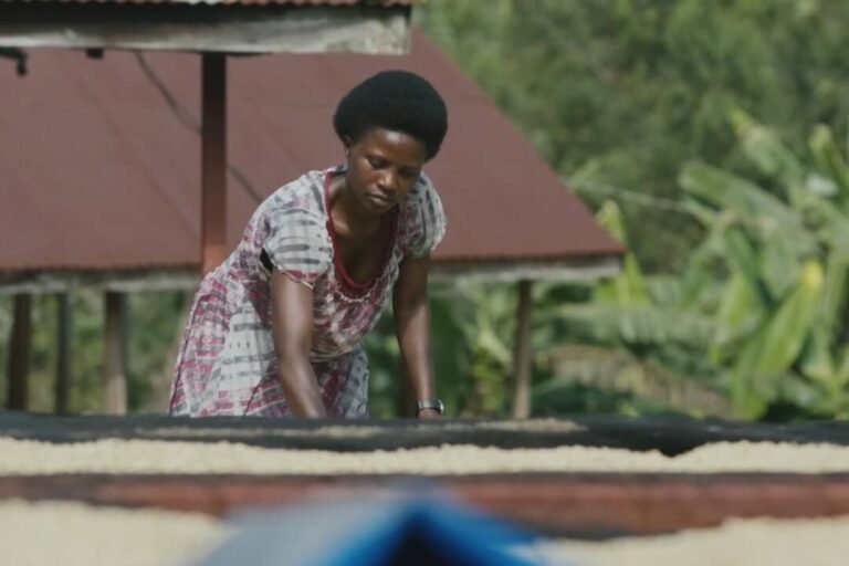 A coffee farmer working at the Cocagi co-operative in Rwanda